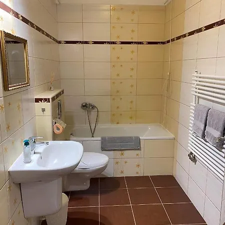 Apartament Nikola Segedyn